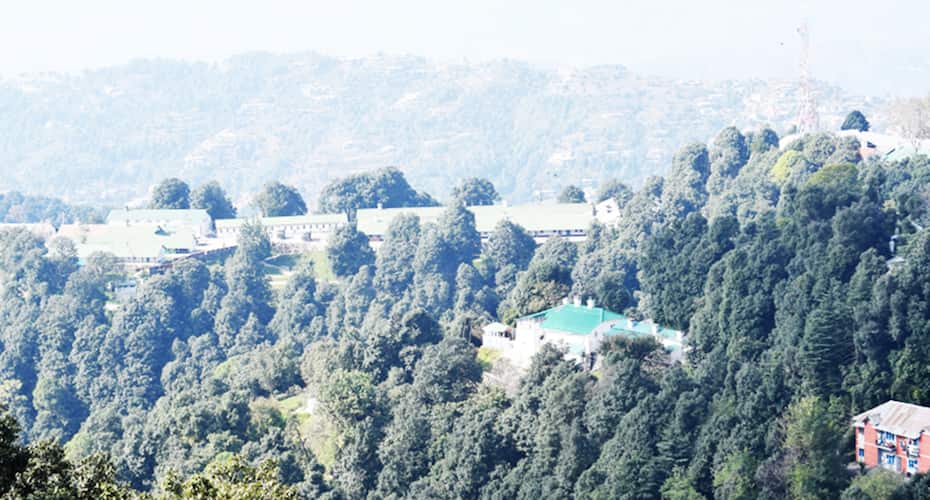 Hotel Wild Rose, Dalhousie 3
